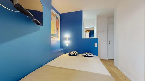 Privatzimmer in der 50 Rue Saint-Maurice, 69008 Lyon, France, bild 4 von 16