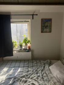 Stanza privata in Hoefkade, immagine 1 di 5