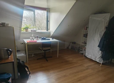 Habitación privada en Kroonstraat, imagen 1 de 7