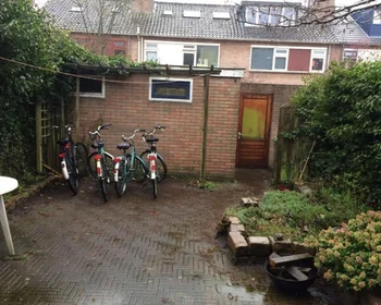 Studio at Ranonkelstraat, image 1 of 10