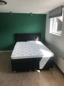 Prywatny pokój Bleeklaan, obraz 1 9