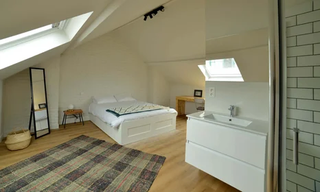 Quarto privado em Rue Général Gratry 20, 1030 Schaerbeek, Belgium, imagem 1 de 10