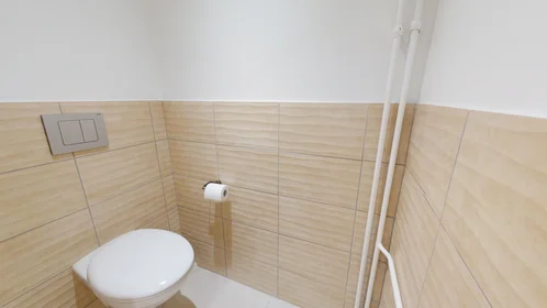 Habitación privada en 12 rue Désiré Claude, imagen 8 de 13