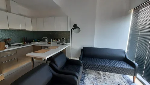 Entire apartment at 3028 Caddesi, image 1 of 6