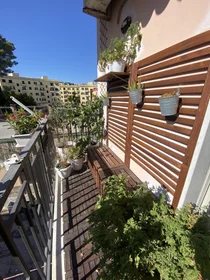 Appartamento intero in Via Camillo Pellegrino 8, immagine 3 di 10
