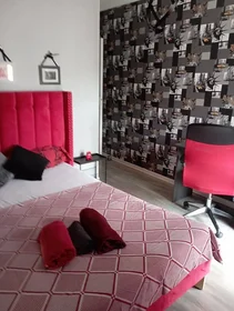 Quarto privado em Toulouse, 31100, imagem 1 de 10
