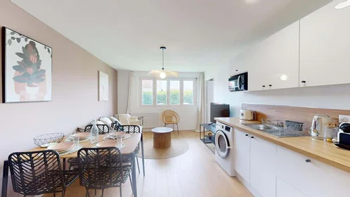 Habitación privada en 53 Rue du 26ème Dragons, 21000 Dijon, France, imagen 9 de 16