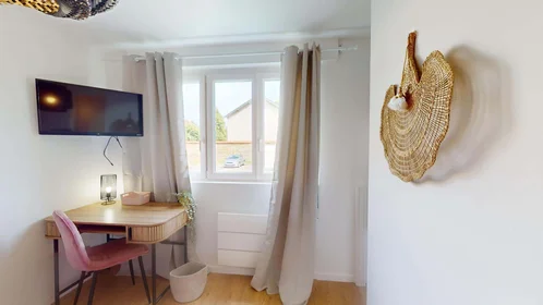 Habitación privada en 53 Rue du 26ème Dragons, 21000 Dijon, France, imagen 3 de 16