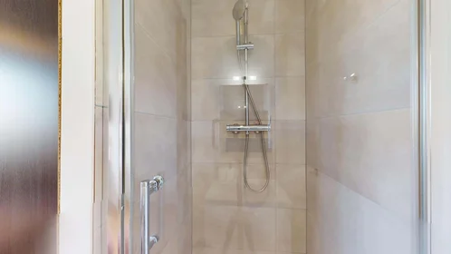Habitación privada en 53 Rue Chanzy, 21000 Dijon, France, imagen 5 de 19