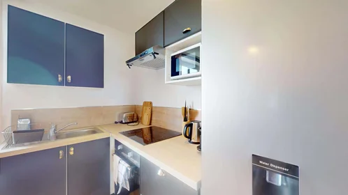 Habitación privada en 53 Rue Chanzy, 21000 Dijon, France, imagen 10 de 19