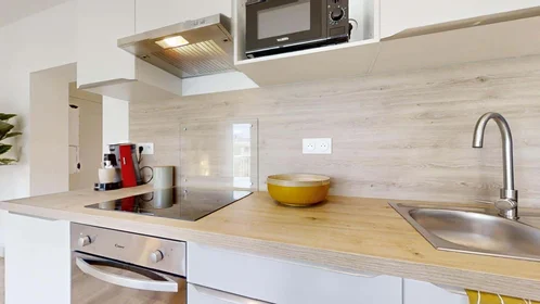 Prywatny pokój 3 Sq. Alexis Carrel, 49100 Angers, France, obraz 14 19