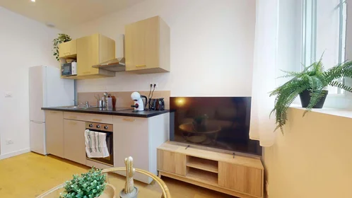 Privatzimmer in der 18 Rue Sidi Brahim, 38100 Grenoble, France, bild 11 von 18