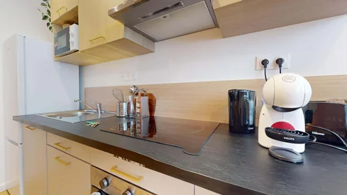 Privatzimmer in der 18 Rue Sidi Brahim, 38100 Grenoble, France, bild 14 von 18