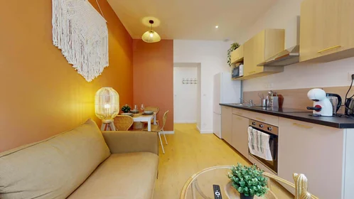 Privatzimmer in der 18 Rue Sidi Brahim, 38100 Grenoble, France, bild 10 von 18