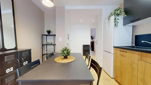Chambre privée à 1 Rue Pierre Termier, 42100 Saint-Étienne, France, image 15 de 20
