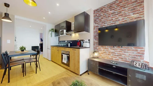 Chambre privée à 1 Rue Pierre Termier, 42100 Saint-Étienne, France, image 10 de 20