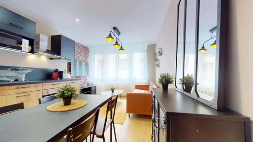 Chambre privée à 1 Rue Pierre Termier, 42100 Saint-Étienne, France, image 19 de 20