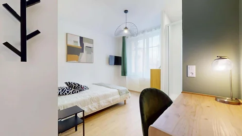 Privatzimmer in der 50 Rue Saint-Maurice, 69008 Lyon, France, bild 1 von 17