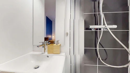 Privatzimmer in der 50 Rue Saint-Maurice, 69008 Lyon, France, bild 5 von 18