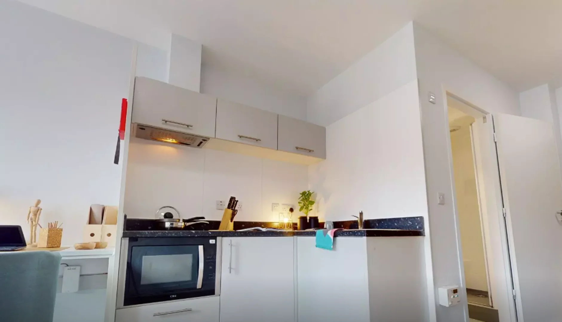 Compact studio apartment ideal for students in 