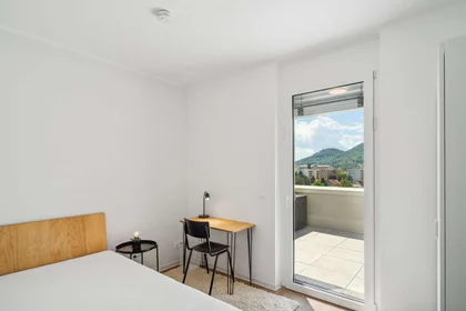 Privatzimmer in der Waagner-Biro Straße-130, bild 1 von 10