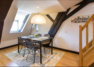 Stanza in condivisione in un appartamento di 3 camere da letto Strasburgo