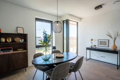 Appartamento intero in Mies van der Rohestraat, , immagine 1 di 10