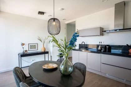 Entire apartment at Mies van der Rohestraat, , image 3 of 10