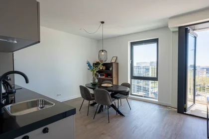 Entire apartment at Mies van der Rohestraat, , image 4 of 10