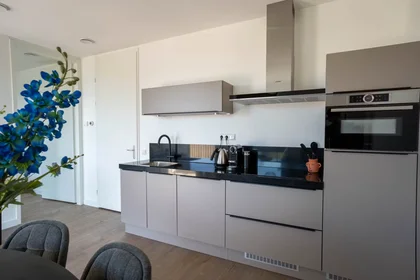 Entire apartment at Mies van der Rohestraat, , image 6 of 10
