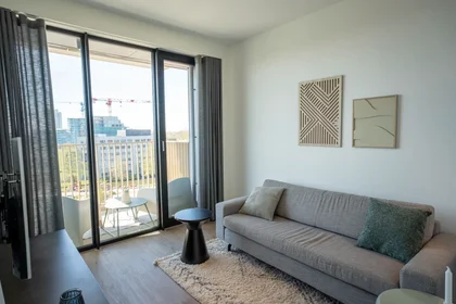 Entire apartment at Mies van der Rohestraat, , image 7 of 10