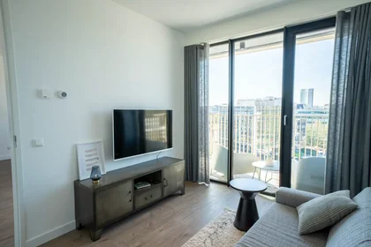 Entire apartment at Mies van der Rohestraat, , image 8 of 10