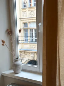 Alojamiento entero en Stubenberggasse, Innere Stadt, imagen 10 de 10