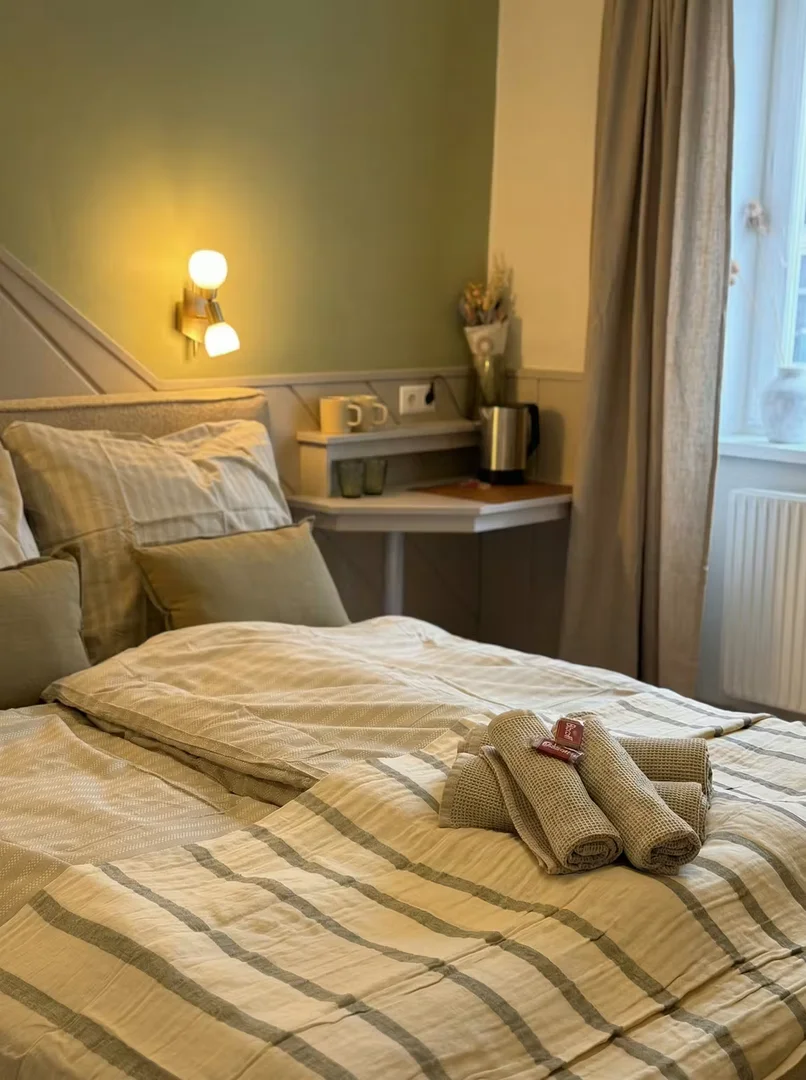 Stubenberggasse, Innere Stadt