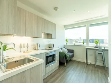 Estudio en residencia en 3 Union St, Sheffield City Centre, Sheffield S1 2FU, United Kingdom          , imagen 25 de 28