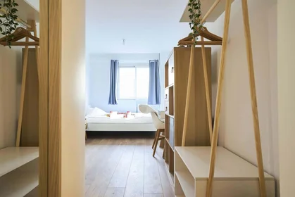 Chambre privée à 3 Bd Montebello, 59000 Lille, France, image 1 de 10