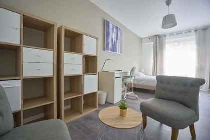 Chambre privée à 14 All. des Tuileries 105 566, 59800 Lille, France, image 1 de 10