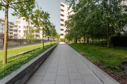 Wspólny pokój Międzyborska , obraz 12 15