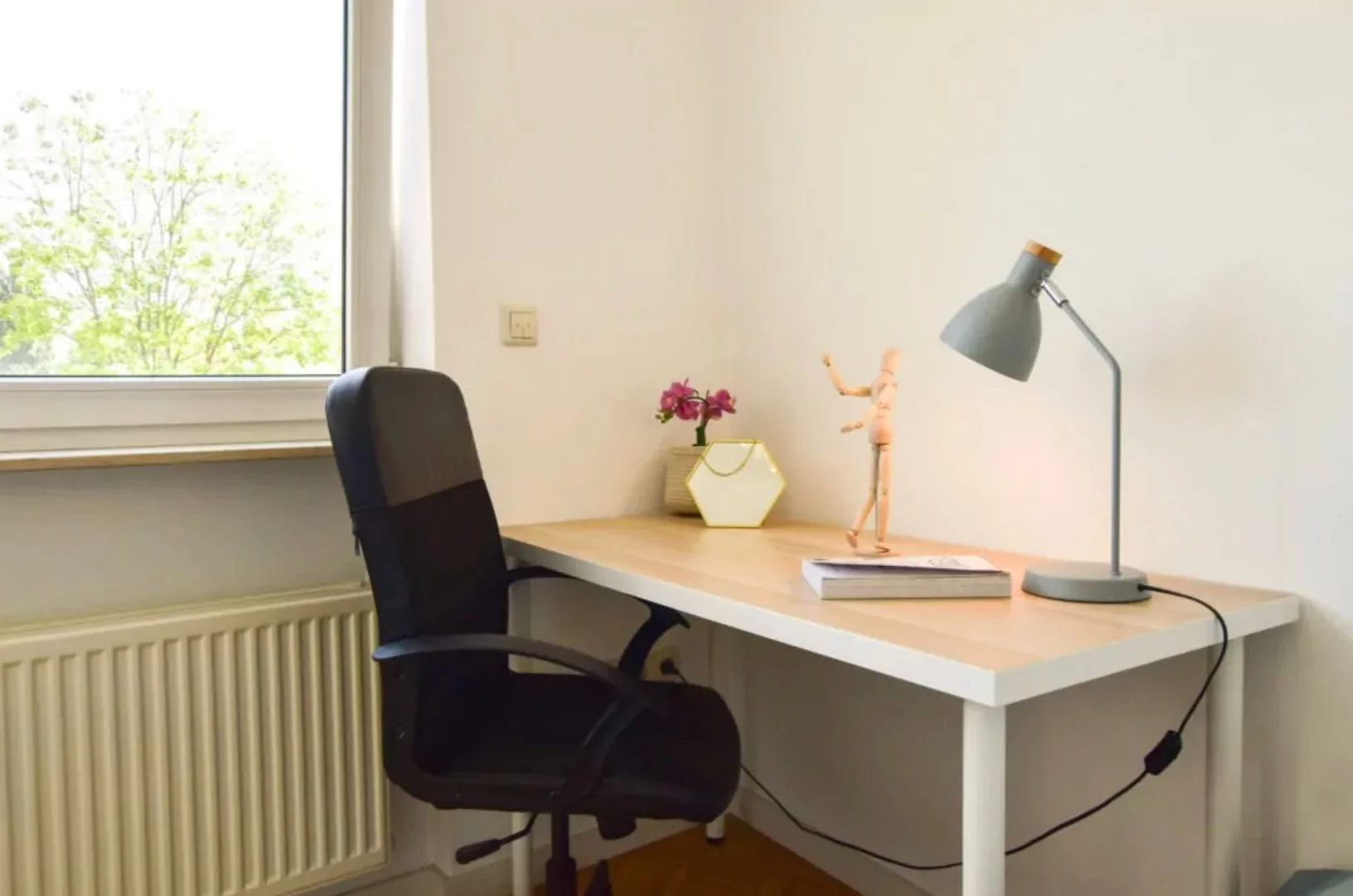 Stanza economica per studenti con ampia illuminazione in 