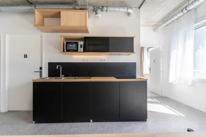 Estudio en 5 Rue du Ctre, imagen 20 de 39