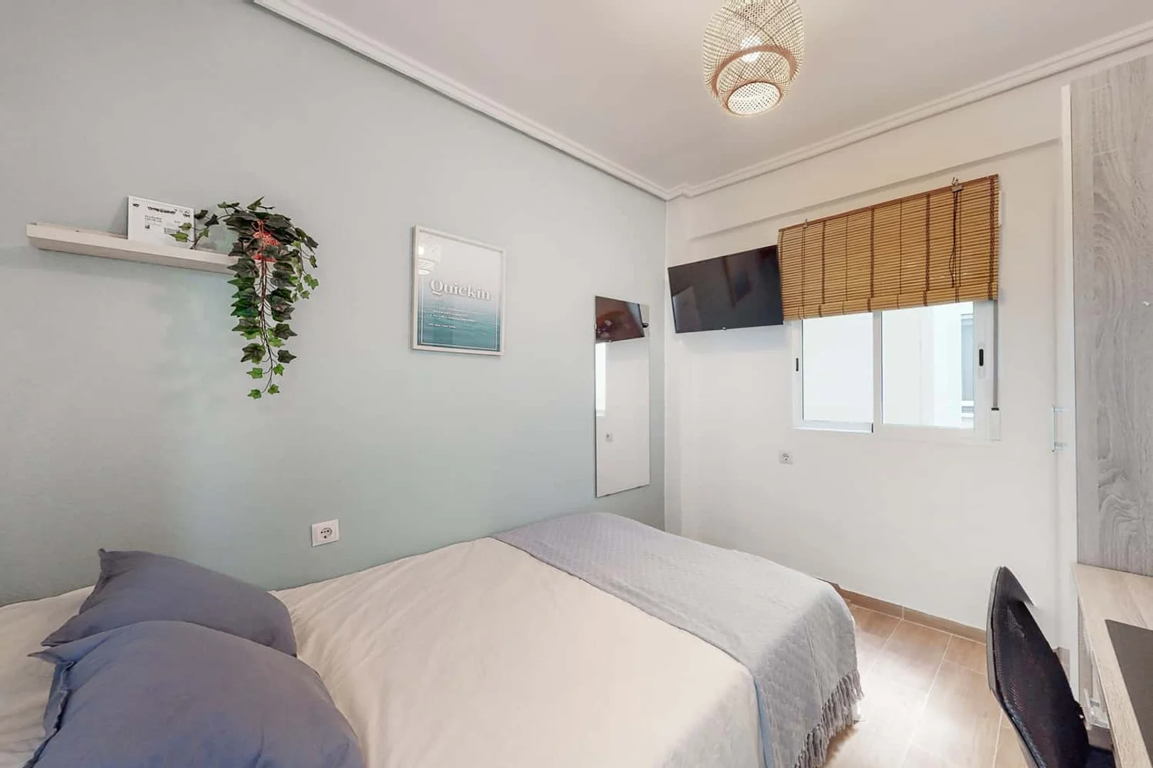Affordable room for students with ample lighting in 