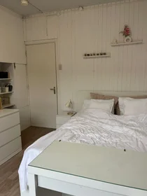 Private room at Reigerstraat, image 1 of 7