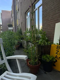 Habitación privada en Mina Krusemanstraat, imagen 1 de 6