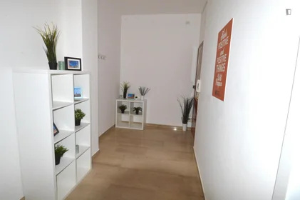 Private room at Viale Gaetano Storchi, image 11 of 14