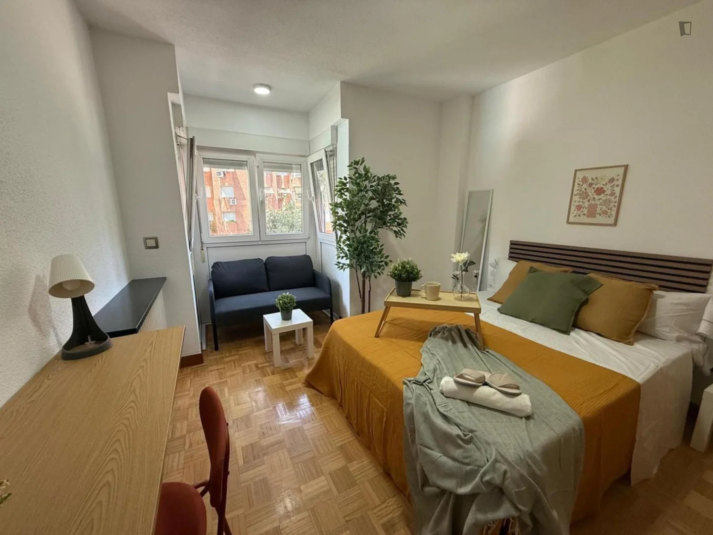 Affordable room for students with ample lighting in 