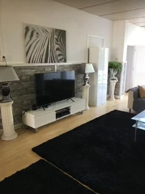 Apartamento entero totalmente amueblado  en Den-haag