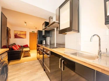 Habitación privada en Saint Helen's Road, Swansea, imagen 1 de 7