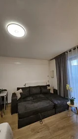 Appartamento intero in Europaplein, Transwijk, immagine 4 di 10