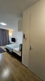 Appartamento intero in Europaplein, Transwijk, immagine 10 di 10