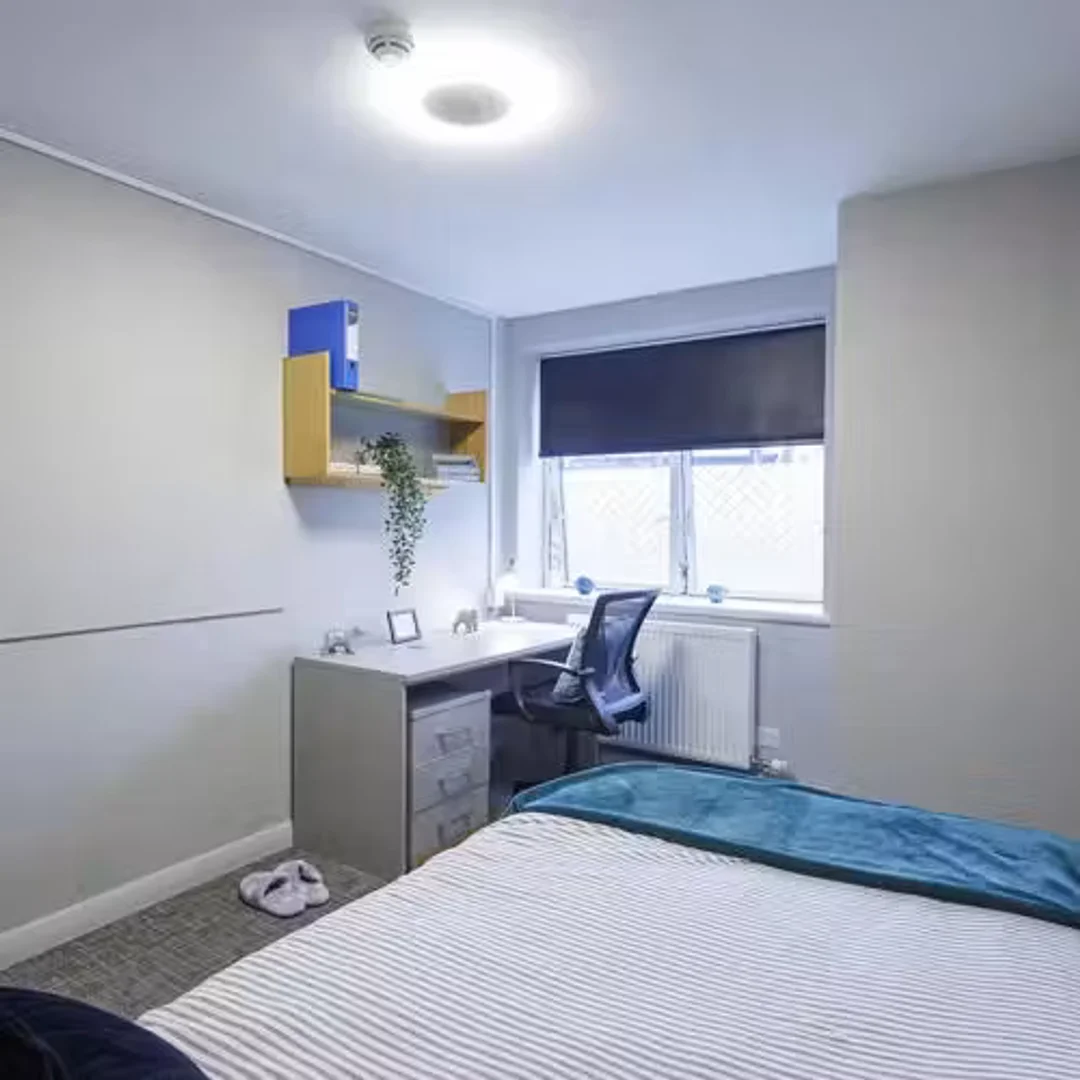 Quarto acolhedor para estudantes disponível em 